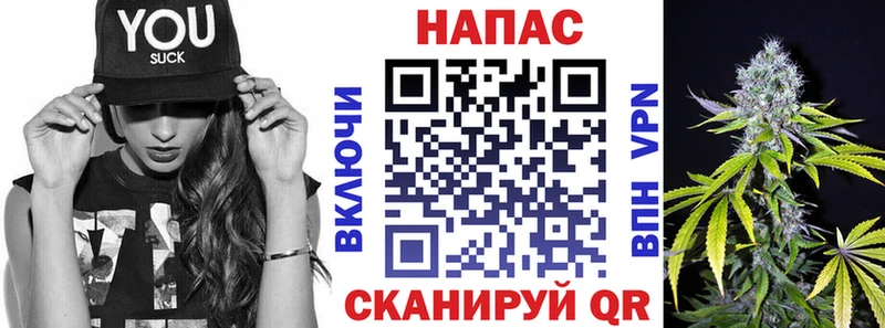 Шишки марихуана MAZAR  Купить где  Тамбов 